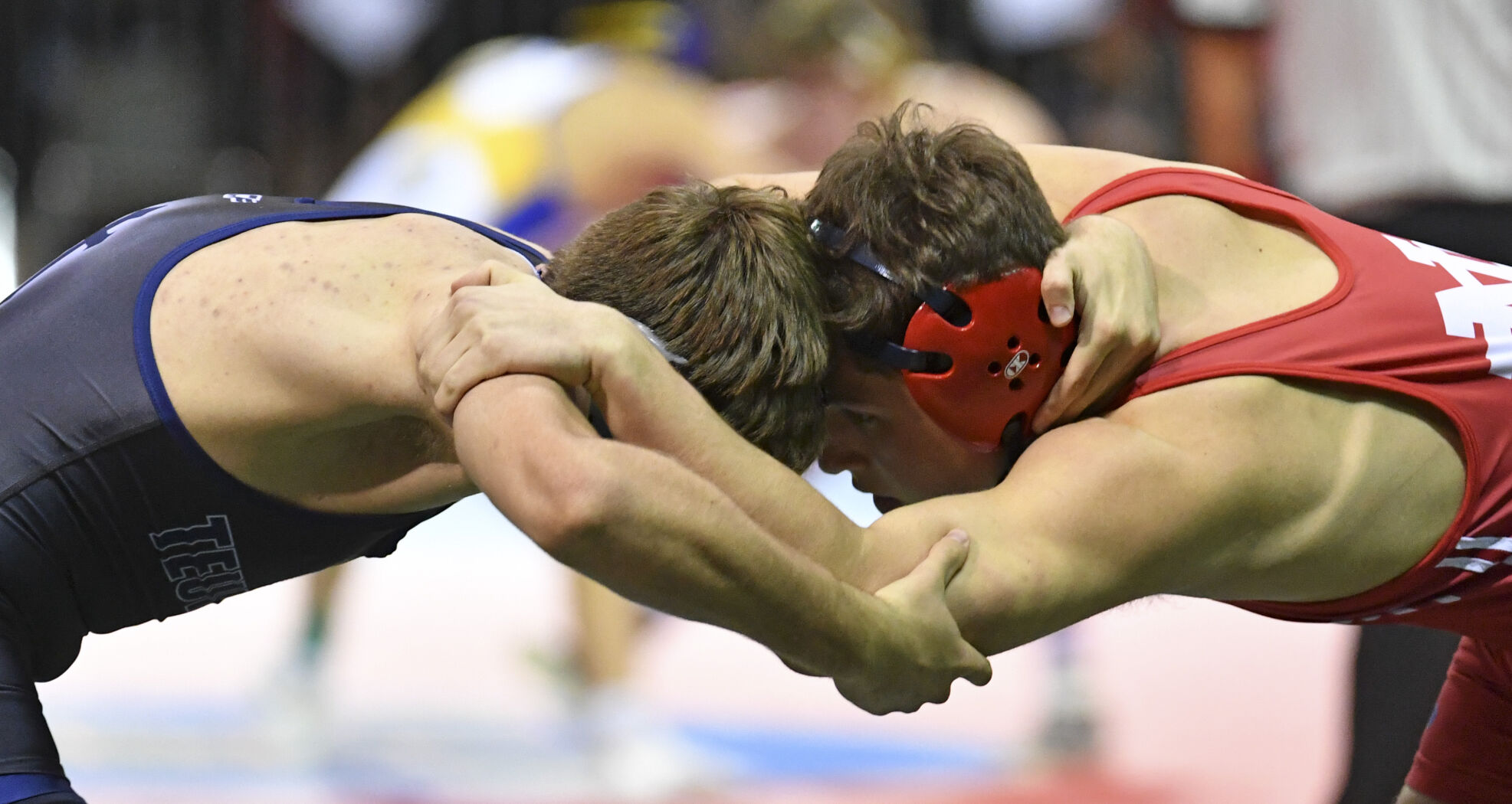 BR.wrestlinggallery.022821 HS 1919.JPG